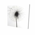 Begin Home Decor 32 x 32 in. Silhouette of Dandelion-Print on Canvas 2080-3232-FL189